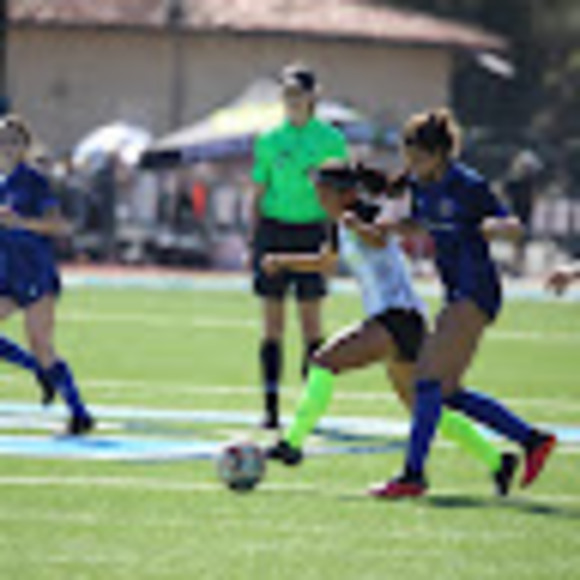 Meet your Posher, Isabella - Picture 1 of 1